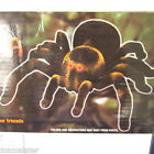 00000000000 Unk Remote Control Tarantula Crawls Wireless Rc Scary Big Spider Halloween Fun