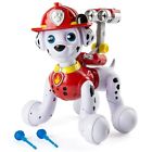 778988238127 Zoomer Ships Fast Paw Patrol