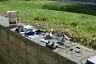 813023017135 Envision Spy Drone In Lot Of Five Different