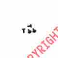 82830 Redcat Racing Steering Screws Parts