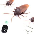 Hauihui-1 Haihui Cockroach Infrared Remote Control Realistic Mock Fake 729129299835