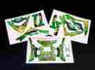 Xdji-02a Xtreme Production Pre-cut Body Skin Decal Sticker Set Green For Dji Phantom 2 Vision