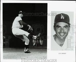 Press Photo Jim Brewer, Pitcher, Los Angeles Dodgers Baseball Team - LRS30115. Fixed Price $21.99.