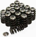 Gsc Beehive Valve Springs Retainers For 03-06 Mitsubishi Evolution 8 9. Fixed Price $399.92.