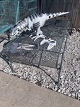 Wow Wee 8095 Roboraptor With Remote And User Manual Works Great. Fixed Price $92.00.