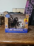 Uncle Milton Rc Tarantula Remote Control Spider Light Up Eyes Crawling Action. Fixed Price $18.99.