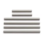 Team Associated #89040 Inner Hinge Pin. Fixed Price $30.96.
