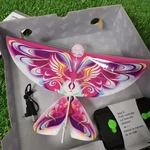 Electric Rc Flying Wing Bird 2.4GHZ Remote Control Toy Pink Plastic. Fixed Price $15.00.