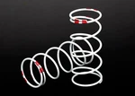 Traxxas 7445 White Front Long Gtr Shock Springs (0.810 Rate Pink). Fixed Price $5.00.