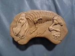 Dragon-i Toys Mighty Megasaur Remote Control Only For Rex Dinosaur. Fixed Price $9.99.