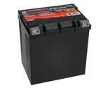 Odyssey Battery Powersport For Extreme ODS-AGM30L Fits Polaris Rzr. Fixed Price $213.99.