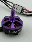 Emax Bullet Series 30A Dshot Esc Blheli Brother Hobby R2 2205 2300KV Motor. Fixed Price $20.00.