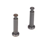 Team Losi Racing Hinge Pins X 21MM Ticn 8IGHT Buggy 3.0 TLR244007 Elec. Fixed Price $25.98.