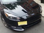 Front License Plate Bracket Holder Ford Focus St 2013 2018 Black. Fixed Price $39.98.