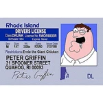 Signs 4 Fun Nfgidp Peter's Driver's License. Fixed Price $8.49.