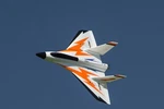 Rochobby Swift Delta Wing 685MM 27" White Carbon Fiber Reinforced. Fixed Price $245.00.